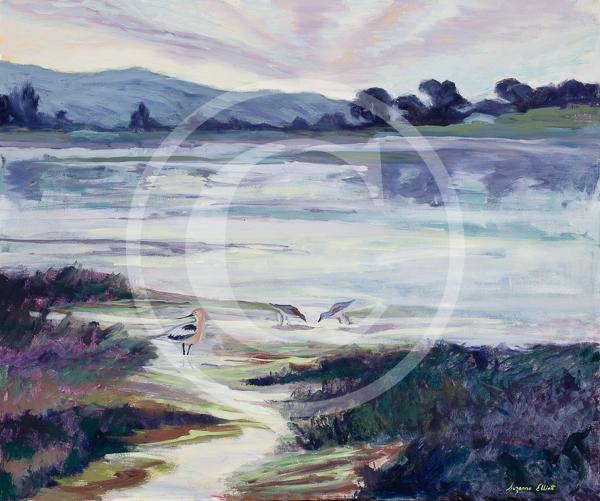 Artist_Suzanne_Elliot